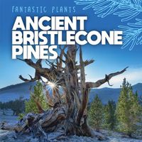 Cover image for Ancient Bristlecone Pines