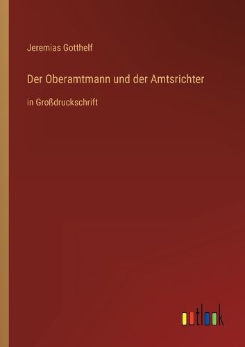 Cover image for Der Oberamtmann und der Amtsrichter
