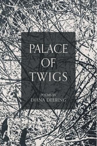 Cover image for Palace of Twigs