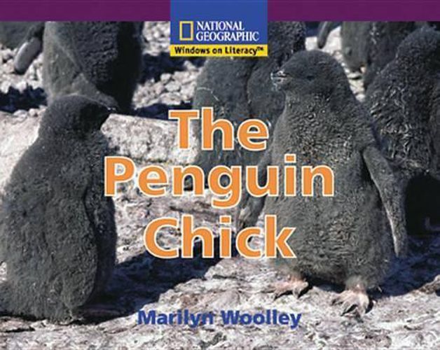 Cover image for Windows on Literacy Early (Science: Life Science): The Penquin Chick