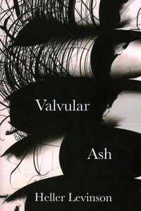 Cover image for Valvular Ash