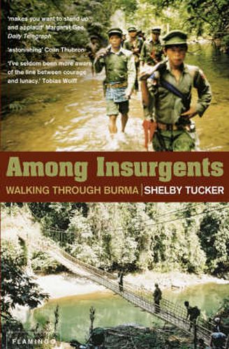 Cover image for Among Insurgents: Walking Through Burma