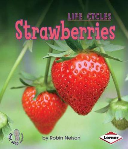 Cover image for Strawberries