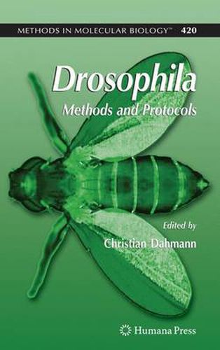 Cover image for Drosophila: Methods and Protocols