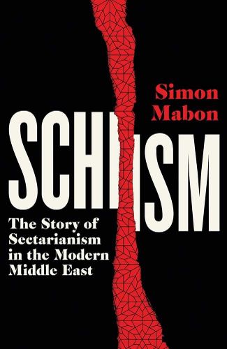 Cover image for Schism