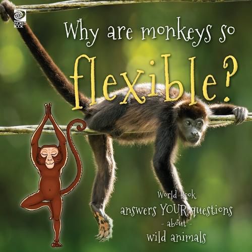 Why are monkeys so flexible?