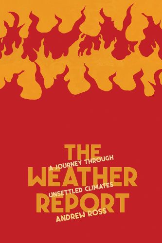 Cover image for The Weather Report