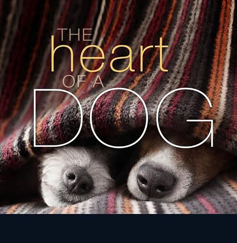 Cover image for The Heart of a Dog