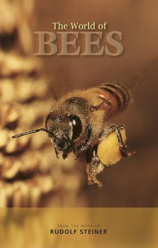 Cover image for The World of Bees