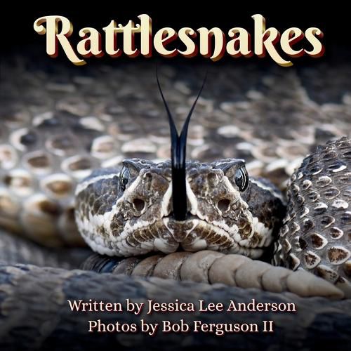 Cover image for Rattlesnakes