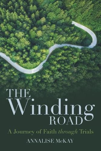Cover image for The Winding Road