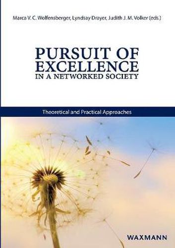 Cover image for Pursuit of Excellence in a Networked Society: Theoretical and Practical Approaches