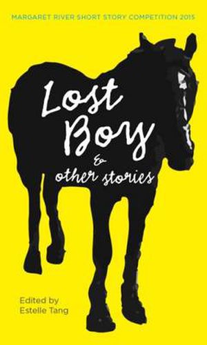 Cover image for Lost Boy & Other Stories