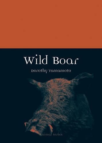 Cover image for Wild Boar