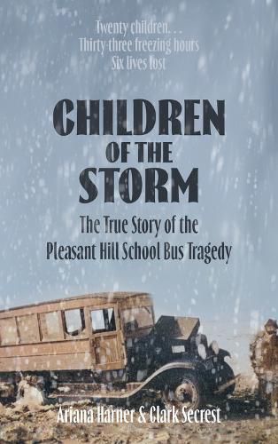 Cover image for Children of the Storm