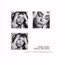 Cover image for Whole New Mess (Vinyl)