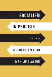 Cover image for Socialism in Process