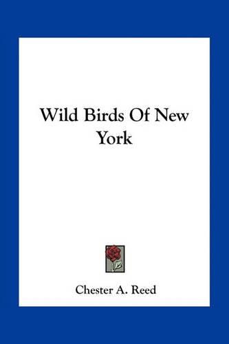 Wild Birds of New York