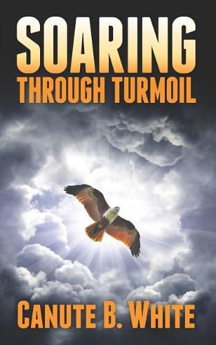 Cover image for Soaring Through Turmoil