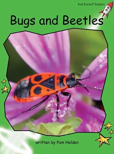 Cover image for Red Rocket Readers: Early Level 4 Non-Fiction Set C: Bugs and Beetles Big Book Edition (Reading Level 14/F&P Level J)