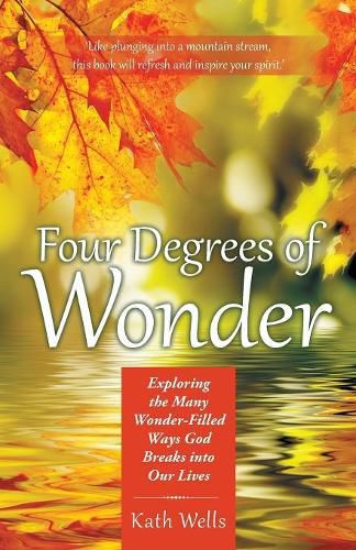 Cover image for Four Degrees of Wonder: Exploring the Many Wonder-Filled Ways God Breaks into Our Lives