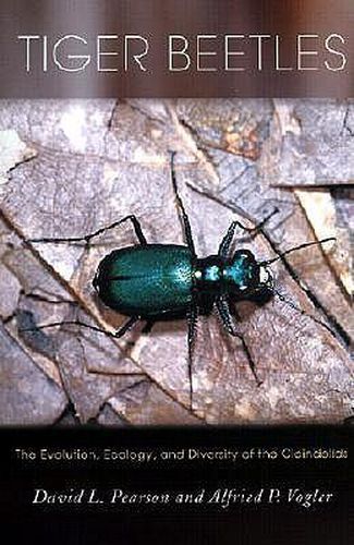 Cover image for Tiger Beetles: The Evolution, Ecology, and Diversity of Cicindelids