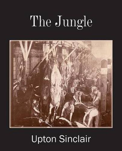 Cover image for The Jungle