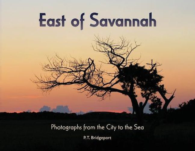 Cover image for East of Savannah: Photographs from the City to the Sea