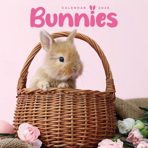Cover image for 2026 Bunnies Mini Wall Calendar