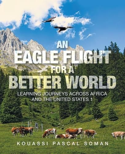 Cover image for An Eagle Flight for a Better World