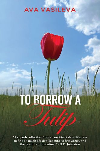 Cover image for To Borrow a Tulip