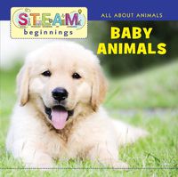 Cover image for Baby Animals