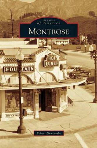 Cover image for Montrose