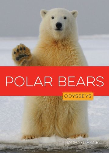 Cover image for Polar Bears