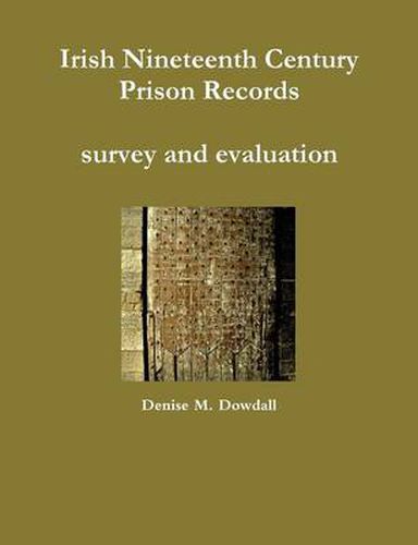 Cover image for Irish Nineteenth Century Prison Records - survey and evaluation