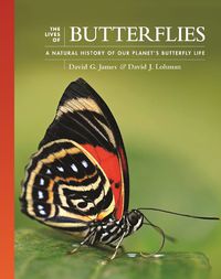 Cover image for The Lives of Butterflies