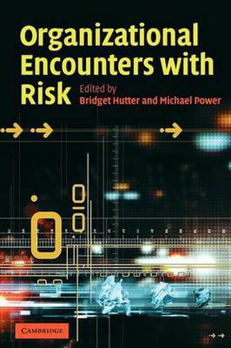 Cover image for Organizational Encounters with Risk