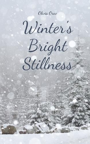 Winter's Bright Stillness