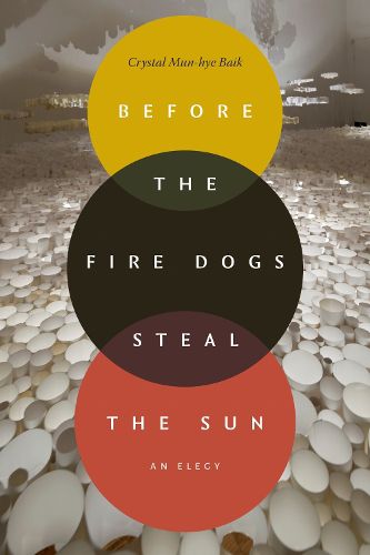 Cover image for Before the Fire Dogs Steal the Sun