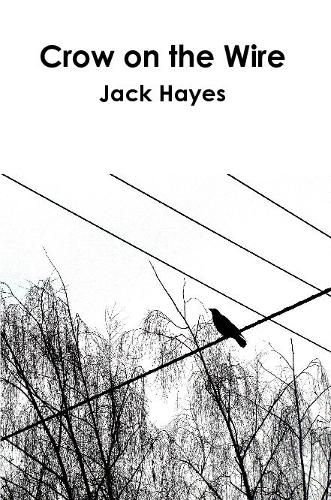 Cover image for Crow on the Wire