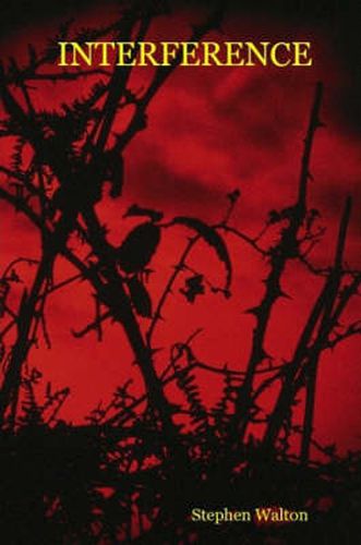 Cover image for Interference