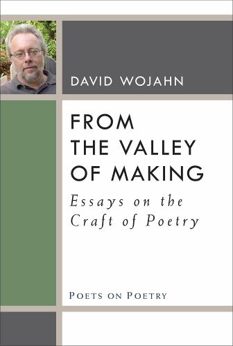 Cover image for From the Valley of Making: Essays on the Craft of Poetry