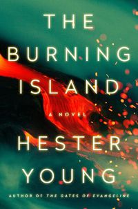 Cover image for The Burning Island