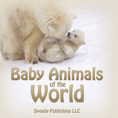 Cover image for Baby Animals of the World