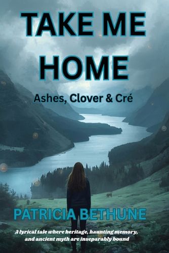 Cover image for Take Me Home