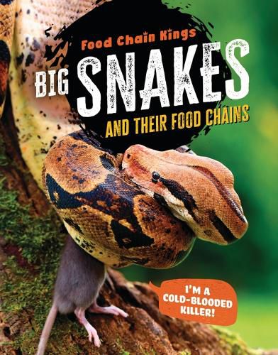 Cover image for Big Snakes