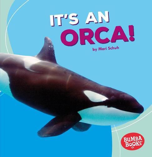 Cover image for It's an Orca!