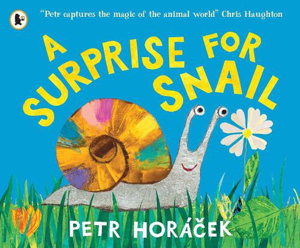 Cover image for A Surprise for Snail