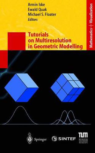 Cover image for Tutorials on Multiresolution in Geometric Modelling: Summer School Lecture Notes