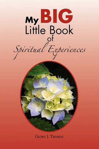 Cover image for My Big Little Book of Spiritual Experiences